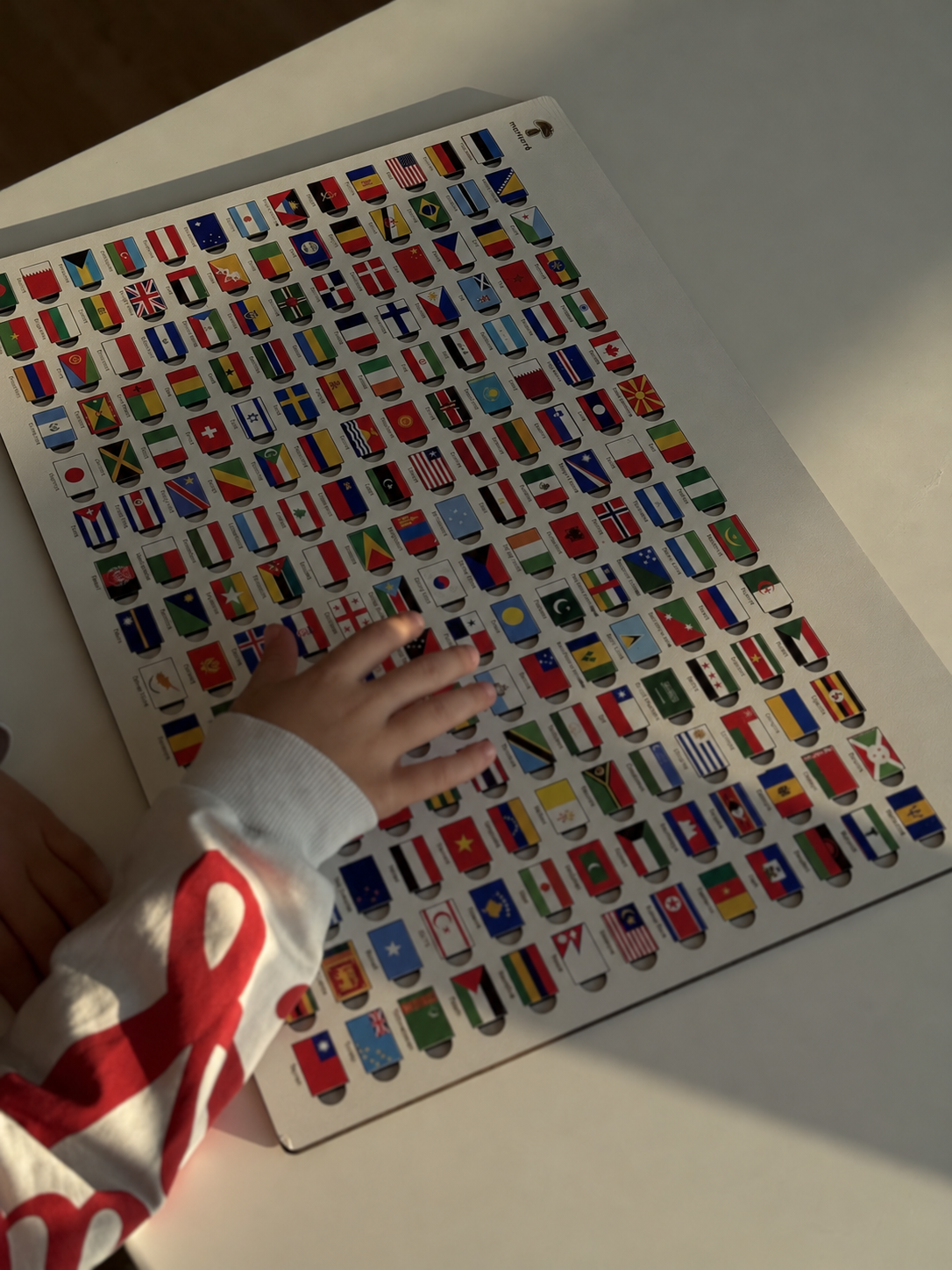 Flag of World Countries | 195 Pieces