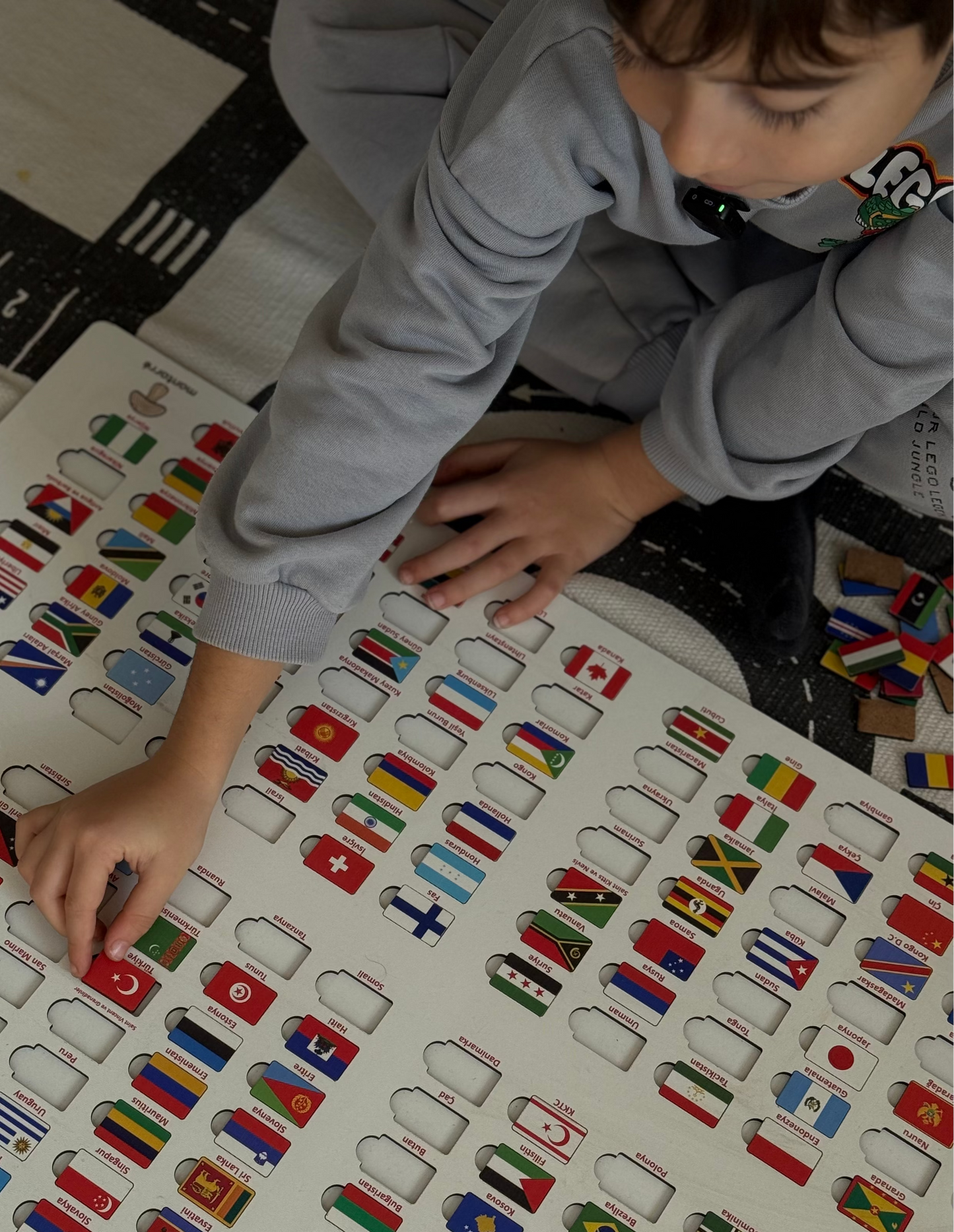 Flag of World Countries | 195 Pieces